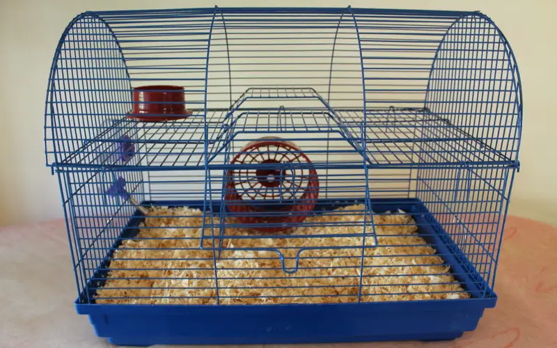 how to clean a hamster cage