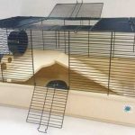Syrian hamster cages