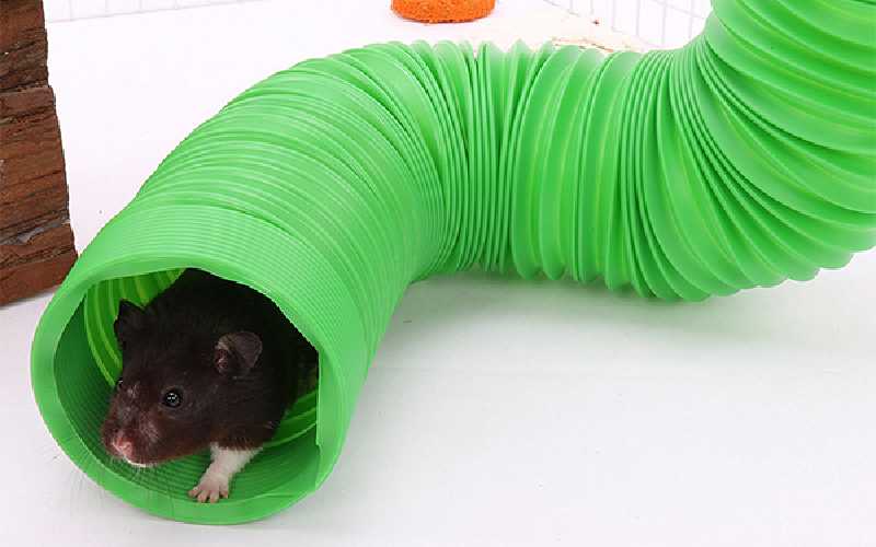 Tunnels for Hamsters